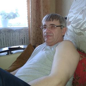 Владимир Аносов, 67 лет, Воронеж
