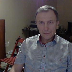 Алексей, 64 года, Электросталь