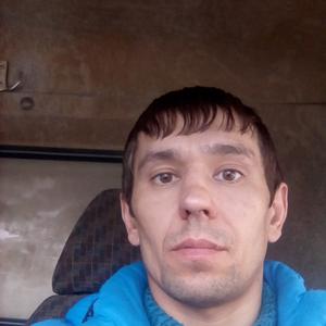 Станислав, 41 год, Целина