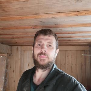 Илья, 45 лет, Нижний Тагил