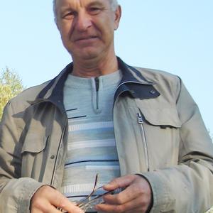 Константин, 74 года, Нижний Новгород