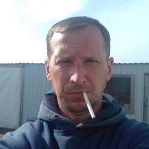 Дима, 42 года, Копейск