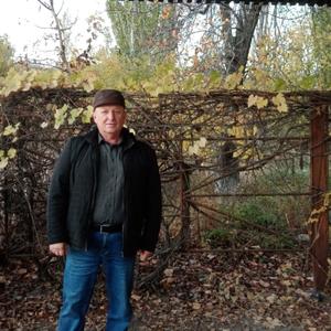 Парни в Волгограде: Владимир, 59 - ищет девушку из Волгограда