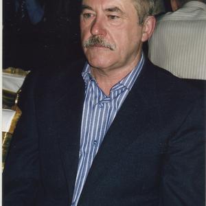 Николай Ильин, 76 лет, Казань