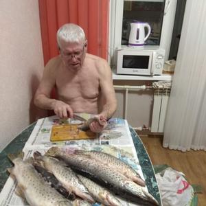 Николай Свистильник, 65 лет, Хабаровск