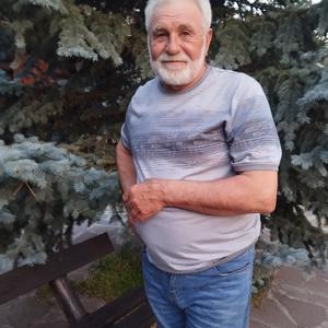 Александр, 69 лет, Казань