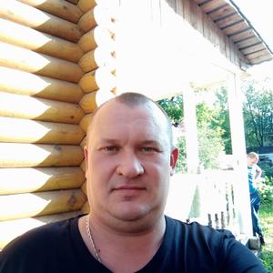 Сергей, 42 года, Владимир