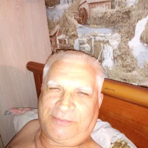 Виктор, 71 год, Лобня