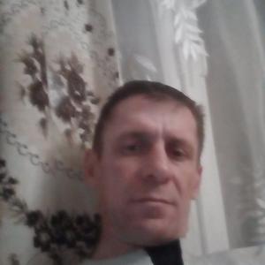 Паша, 44 года, Кострома