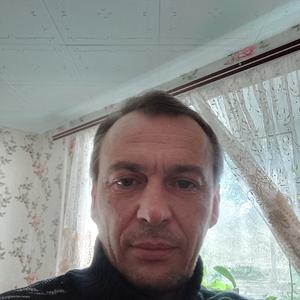 Анатолий, 43 года, Казань