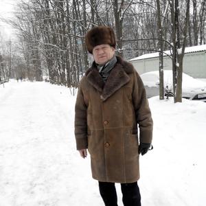 Гесаров Анатолий, 77 лет, Москва
