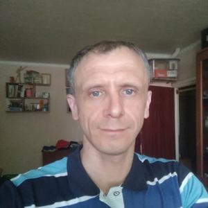 Алексей, 41 год, Дмитров