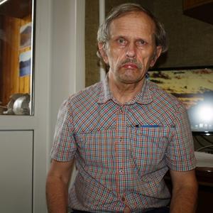 Владимир, 68 лет, Воронеж
