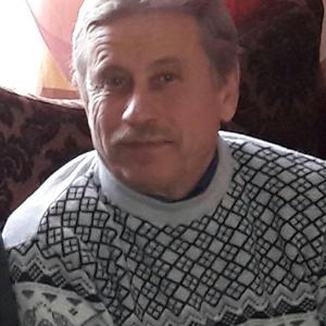 Александр, 66 лет, Тольятти