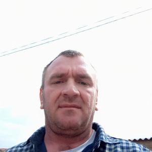 Роман, 46 лет, Ипатово