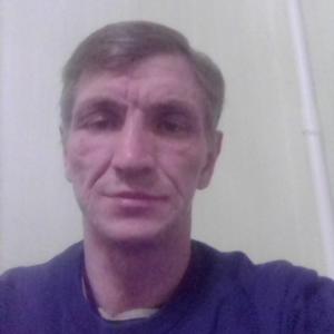Николай, 46 лет, Сосновый Бор