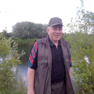 Евгений Митин, 65 лет, Саратов
