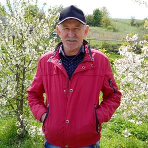 Николай, 69 лет, Белгород-22