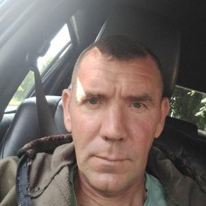 Николай, 30 лет, Богородицк