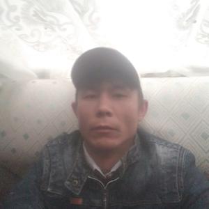 Волк, 34 года, Бишкек