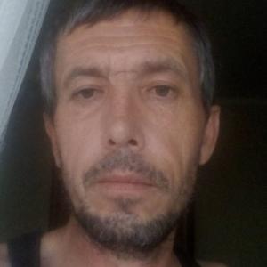 Роман, 56 лет, Вологда