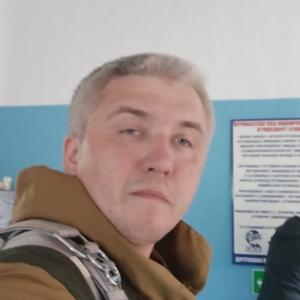 Артем, 37 лет, Архангельск