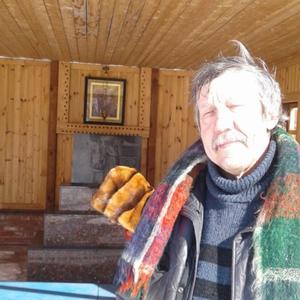 Геннадий, 62 года, Тольятти