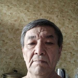 Виктор, 69 лет, Пушкино