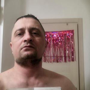 Михаил, 44 года, Санкт-Петербург