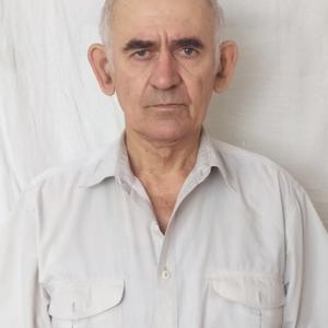 Леонид, 74 года, Екатеринбург
