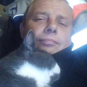 Парни в Тосно: Сергей, 40 - ищет девушку из Тосно