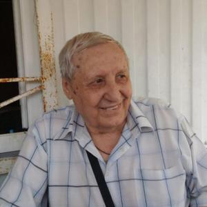 Виктор Золотухин, 82 года, Новочеркасск