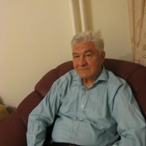 Александр, 83 года, Москва