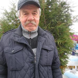 Парни в Казани (Татарстан): Азат Гимадеев, 74 - ищет девушку из Казани (Татарстан)
