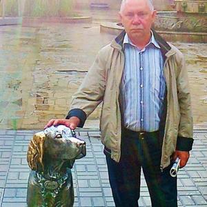 Владимир, 66 лет, Воронеж