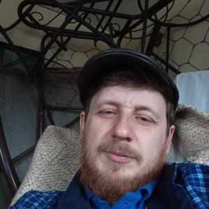 Алексей, 44 года, Циммермановка