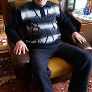 Владимир Федянин, 57 лет, Орск