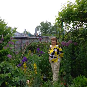 Наталья, 70 лет, Краснодар