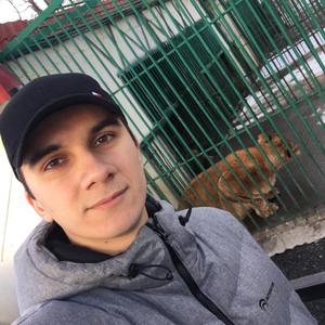 Парни в Курчатове: Давид, 28 - ищет девушку из Курчатова