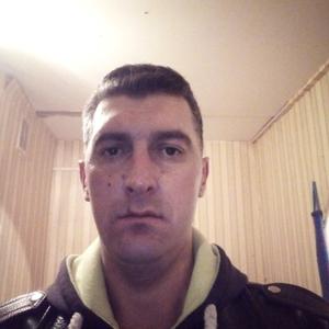 Сурков, 42 года, Черноголовка