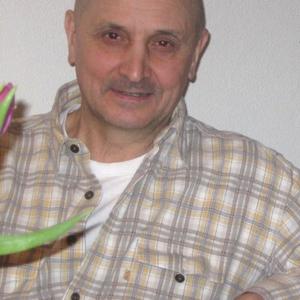 Санчо, 74 года, Котельники