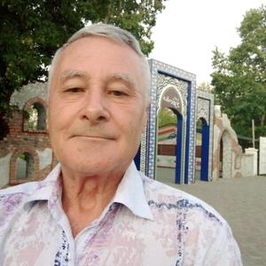 Иван, 72 года, Новосибирск
