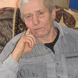 Николфй, 76 лет, Курган
