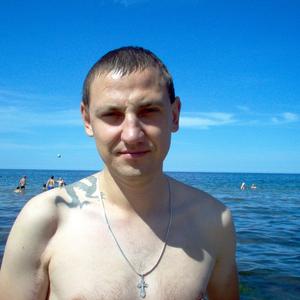 Владимир, 43 года, Советск