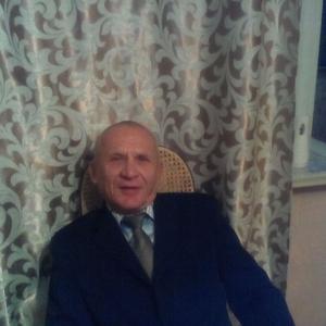 Сергей Дарьенко, 72 года, Красноярск