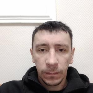 Dmitrii Mazakov, 37 лет, Кемерово