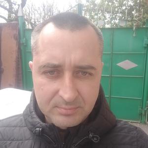 Роман, 38 лет, Таганрог