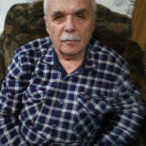 Николай, 73 года, Тула