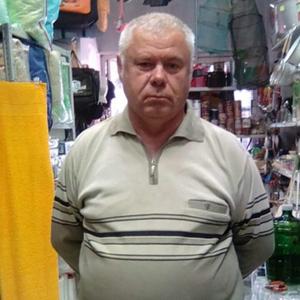 Вячеслав, 64 года, Электросталь