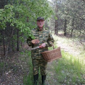 Парни в Тольятти: Александр, 66 - ищет девушку из Тольятти